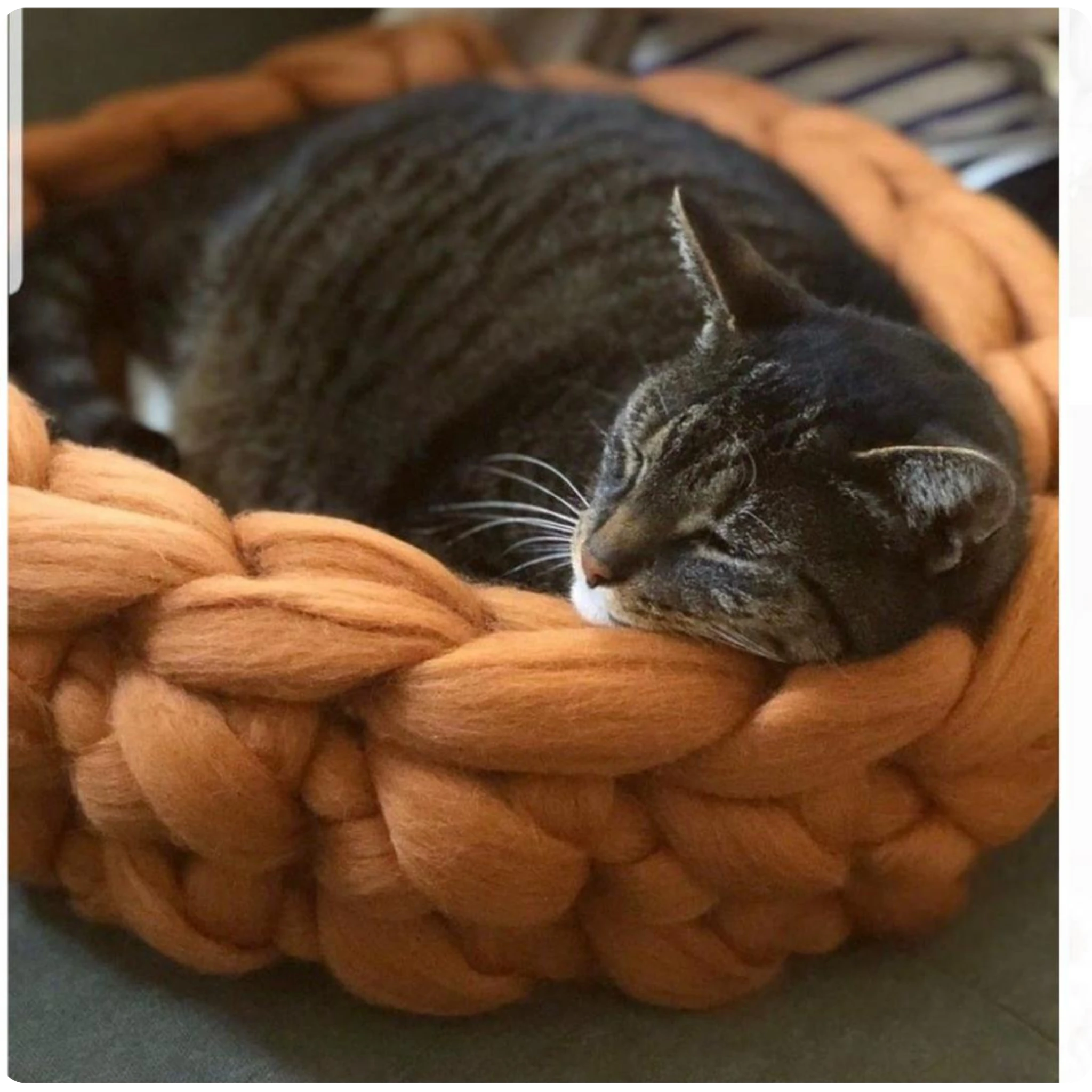 Seminario Nido de Amor Cucha tejida para tu mascota - Imagen 3