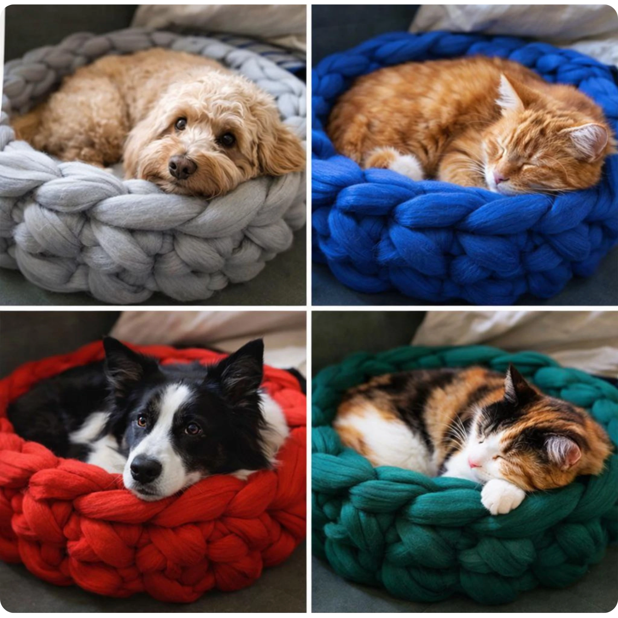 Seminario cucha tejida rosario talleres de tejido bordados