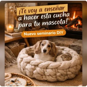 seminario cucha bordados rosario santa fe argentina