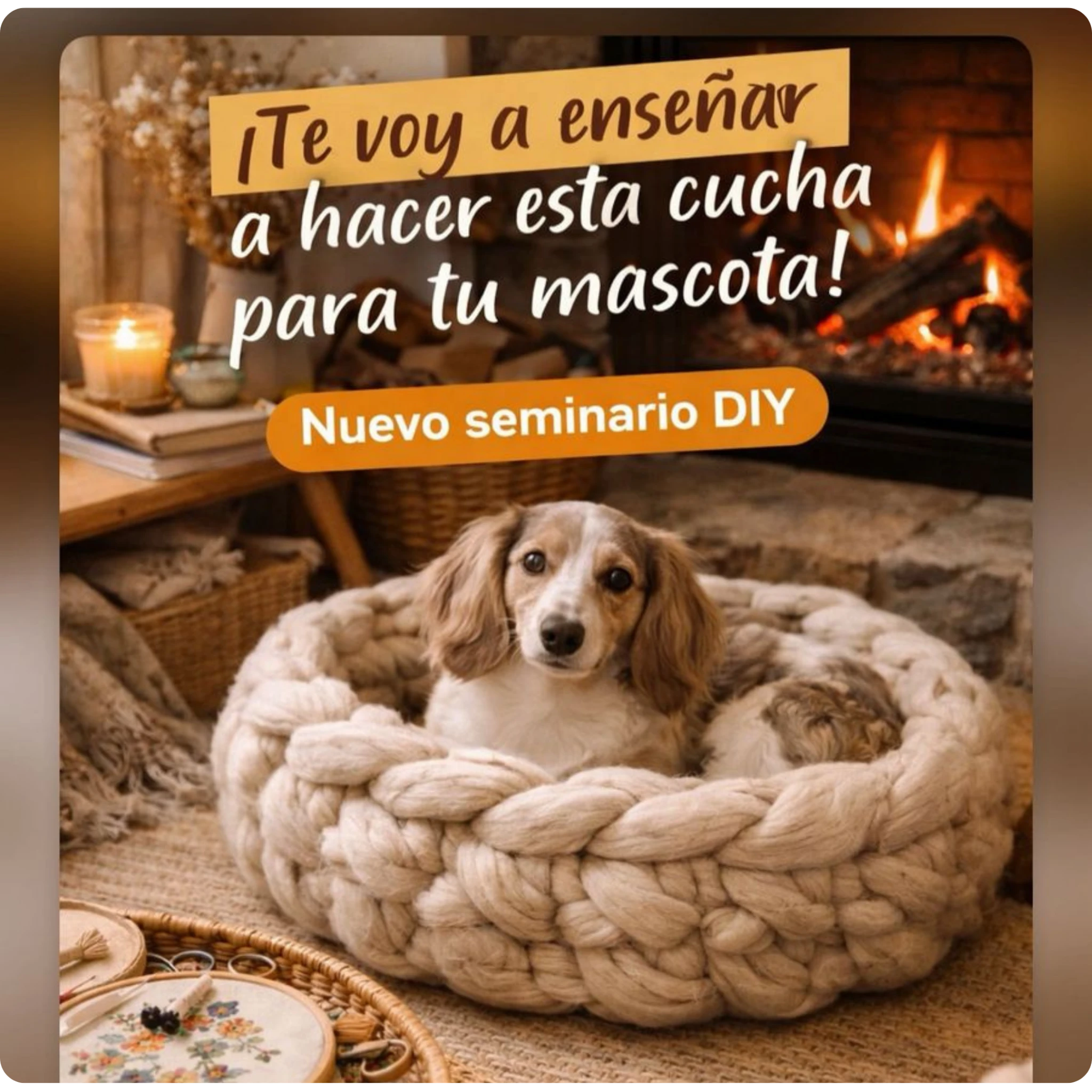 seminario cucha bordados rosario santa fe argentina