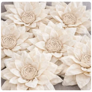 Seminario Loto bordado rosario